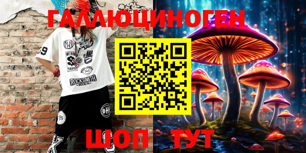 Камень-на-Оби  Псилоцибиновые грибы Magic Shrooms  Вход с VPN 